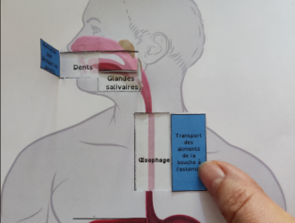 Capture d’écran 2022-07-14 140906