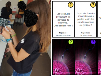 image chemin de la repro site